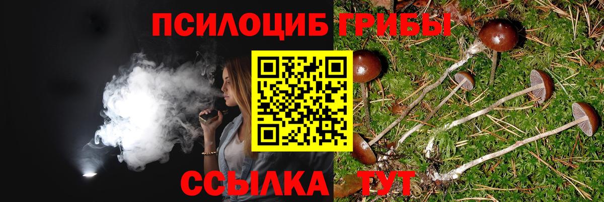 Краснодар  Псилоцибиновые грибы Cubensis  Вход с VPN 
