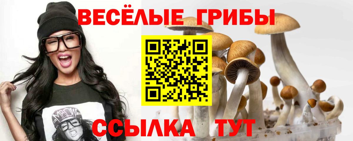 Галлюциногенные грибы Magic Shrooms Краснодар